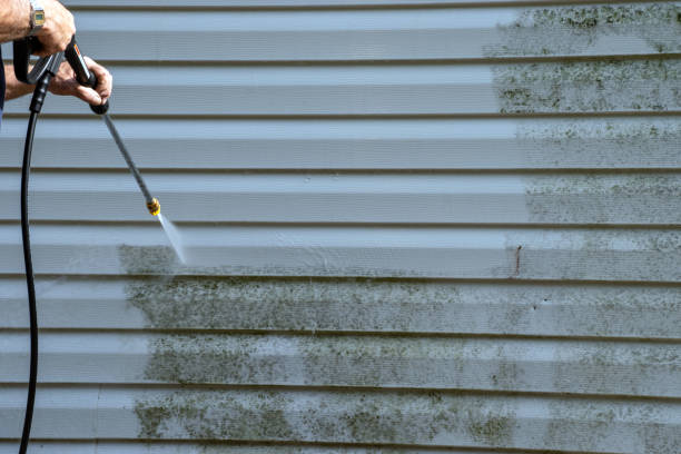 Best Historical Building Siding Restoration  in Ventress, LA